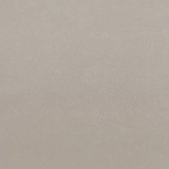 Girloon Standard Webware 2 m Farbe strand – Draufsicht des Teppichbodens